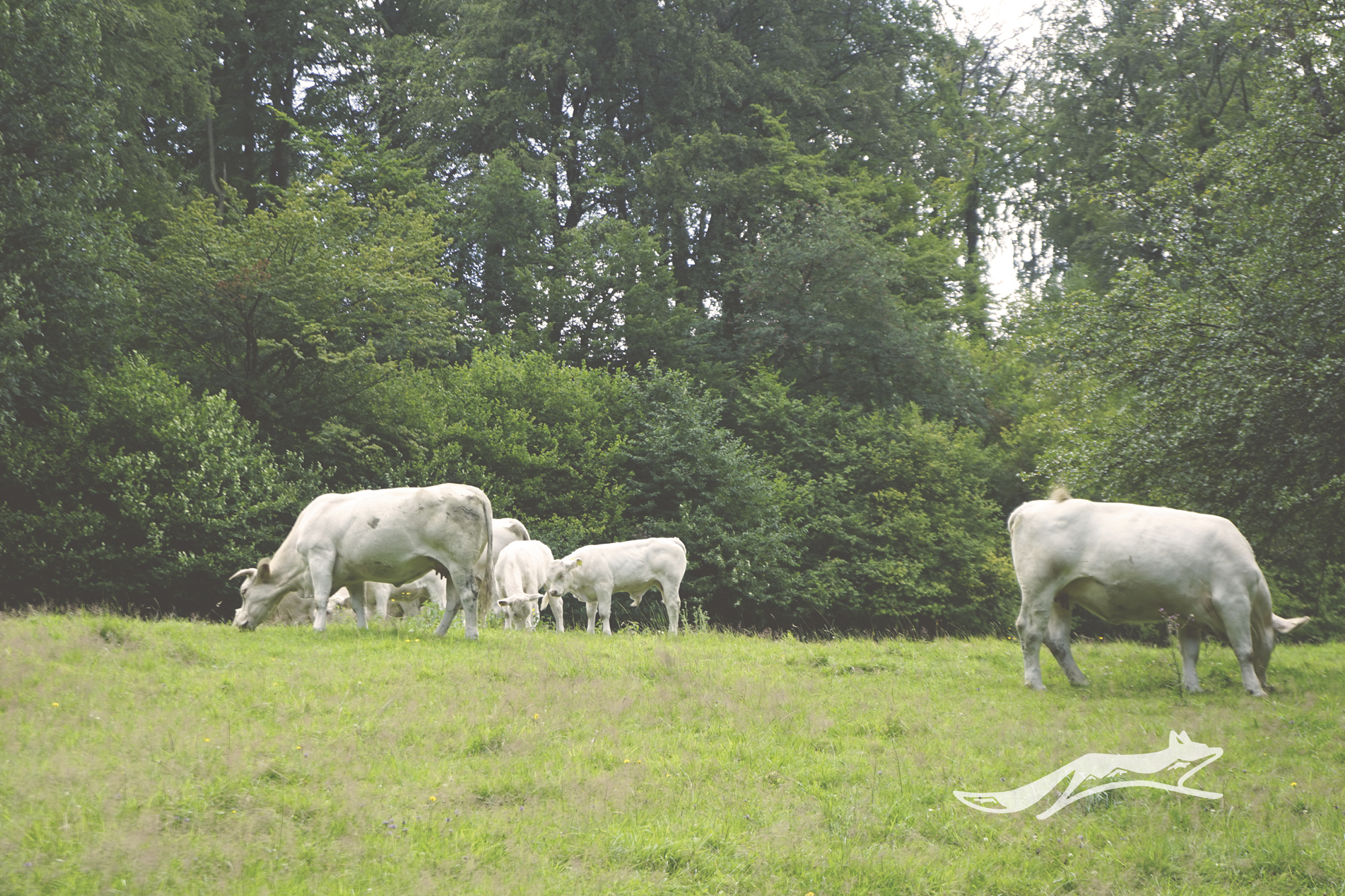 Bergischer Weg - 2. Etappe: Velbert - Wülfrath-Aprath