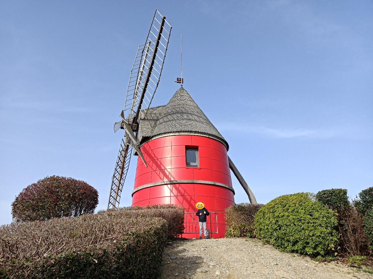 Visite du Moulin à six ailes et atelier pain