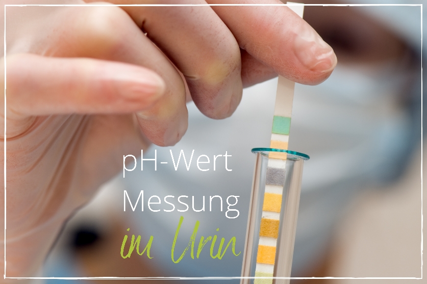 UrinpHMessung IBGESUNDHEIT