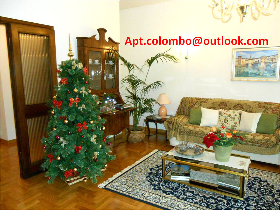 For the holiday season the apartment is decorated with a tree and LED lights. 