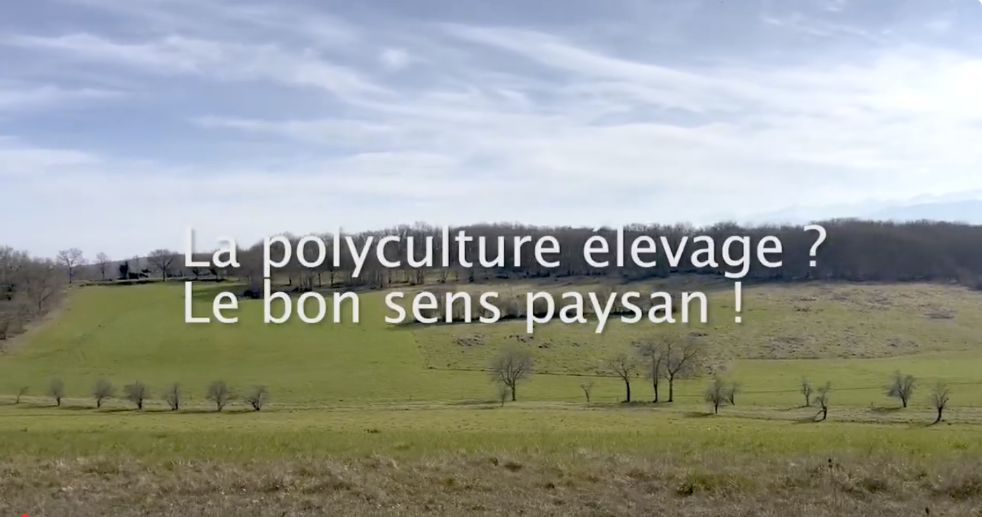 Quelle place pour la polyculture-élevage dans le Nord Comminges de demain ?