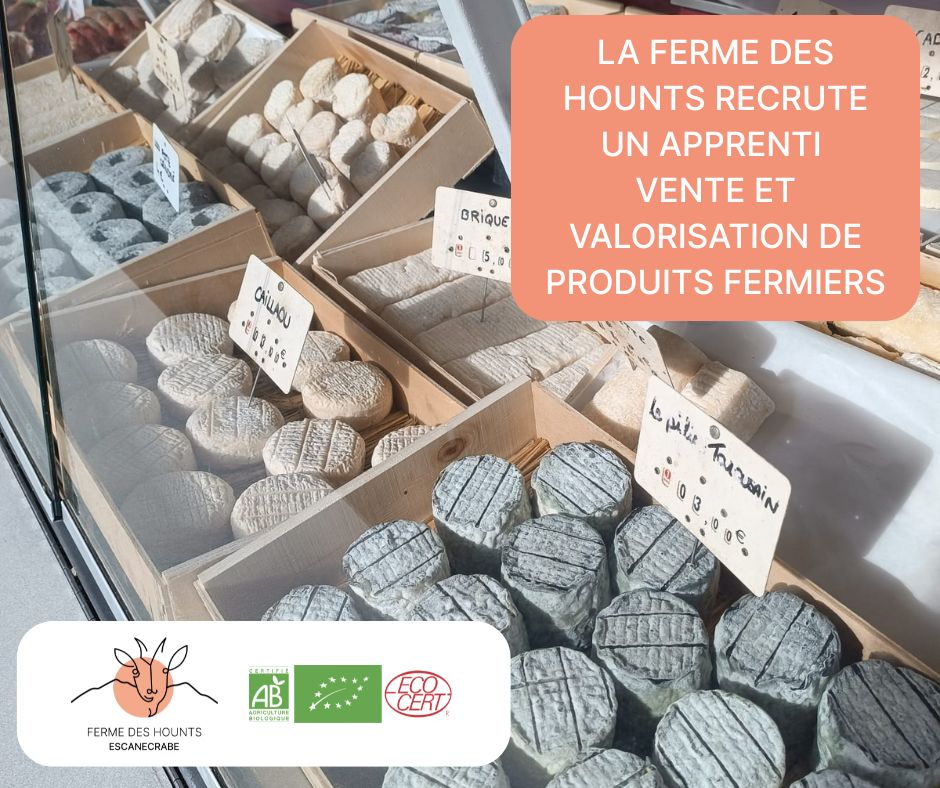 Emploi apprenti vente