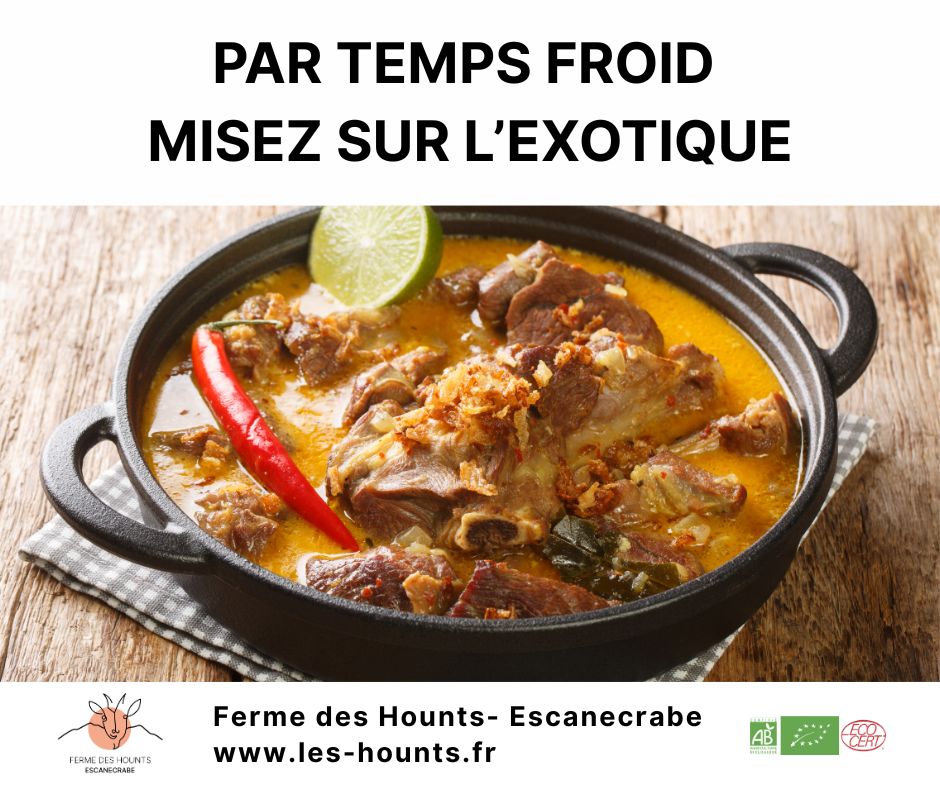 Par temps froid pensez exotique