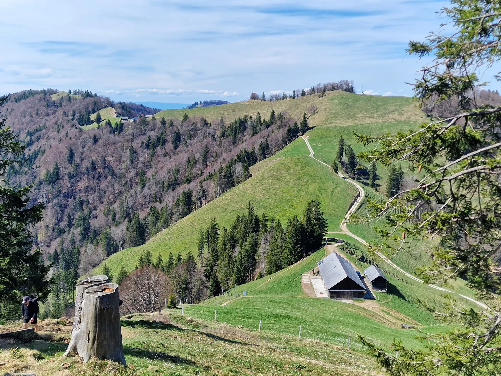 Sommerprogramm 5 vom 3. August 26