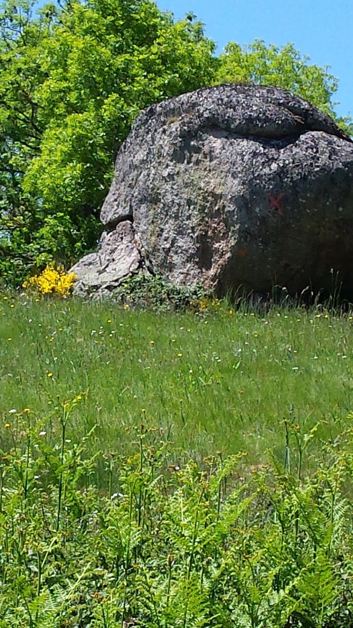 Un rocher en Margeride, Centre La Margeride Saugues, Haute-Loire