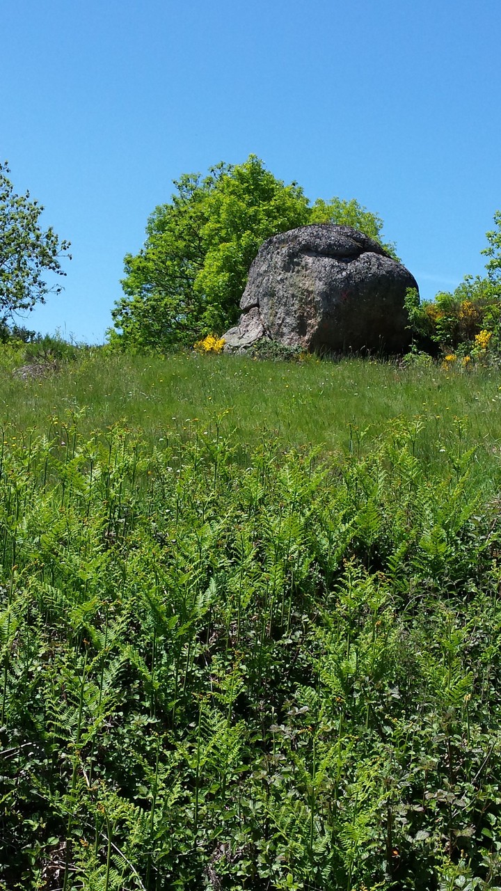 Un rocher en Margeride, visite de groupes, La Margeride, Saugues Auvergne