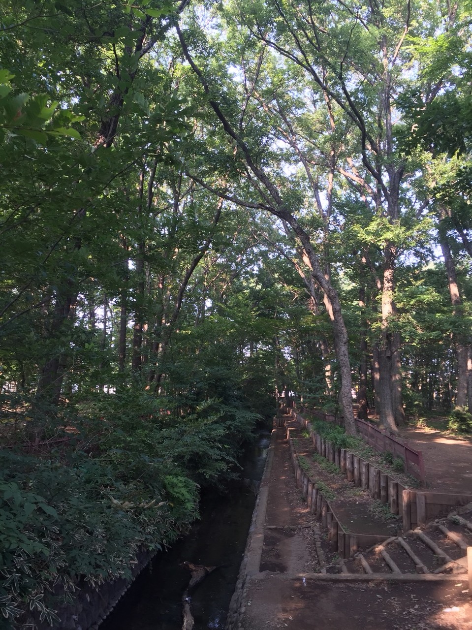 Nobidomeyosui aqueduct / waterway Tokyo Kodaira