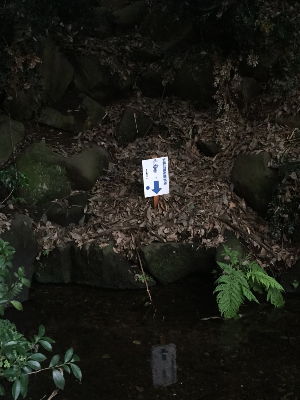 Bamboo Forest (Chikurin) park Natural water spring spot Tokyo Higashikurume