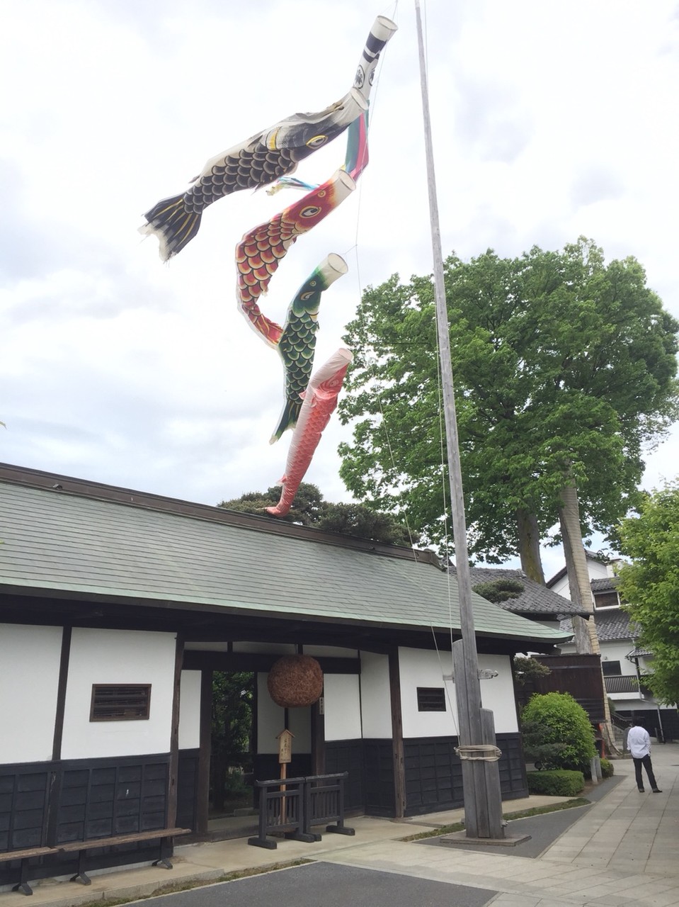 Koinobori (Carp streamer) in May at Ishikawa Brewery Tokyo Fussa