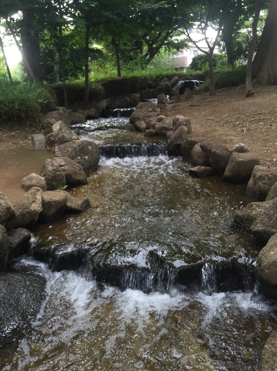 Water stream at Nishigawara Nature Park Tokyo Komae