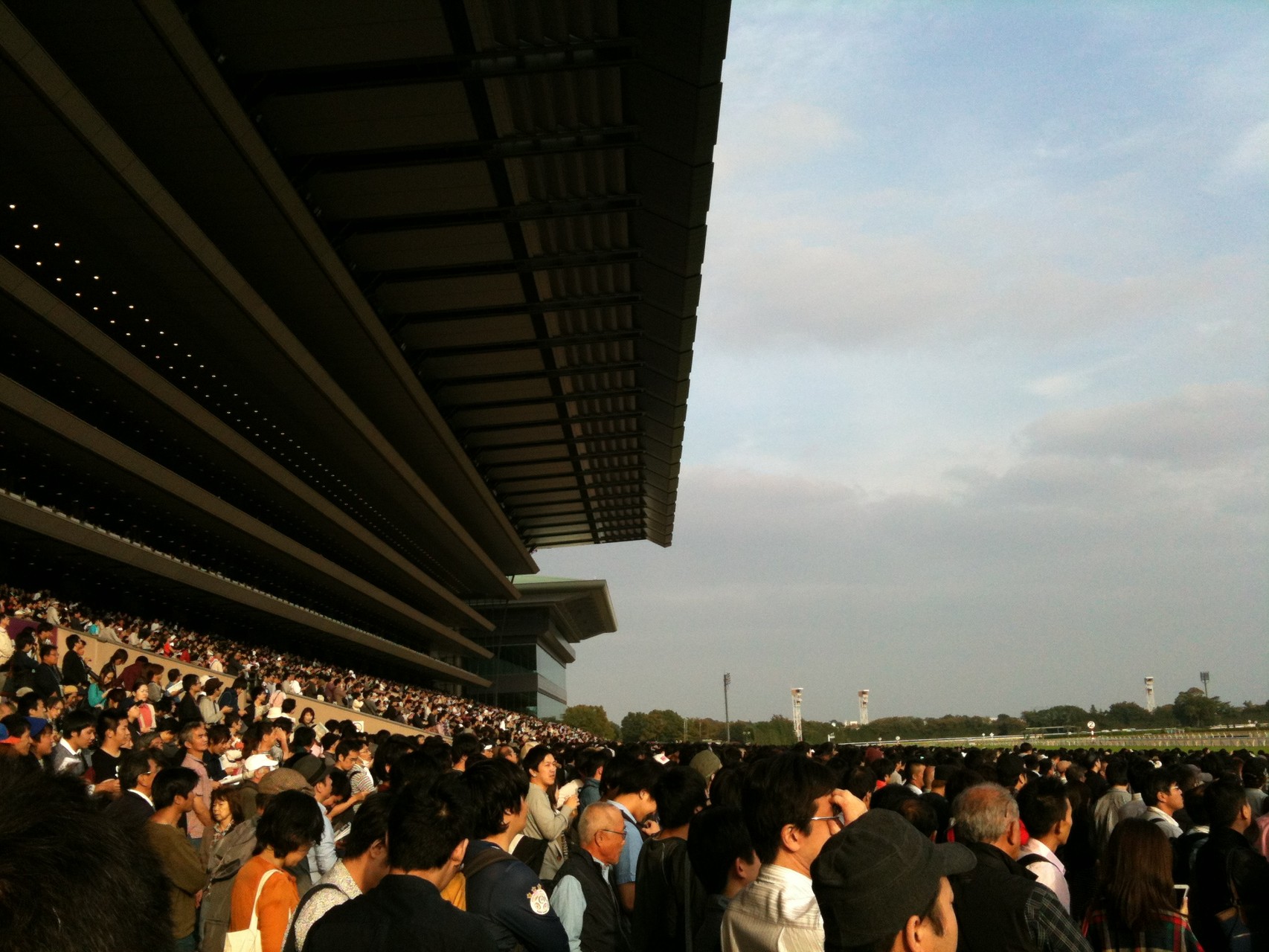 Tokyo Racecourse Main stand Tokyo Fuchu