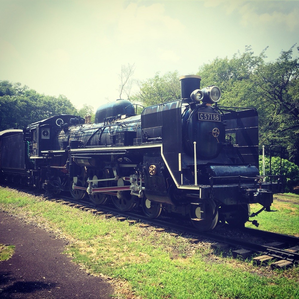 SL C57 at Koganei Park Tokyo Koganei