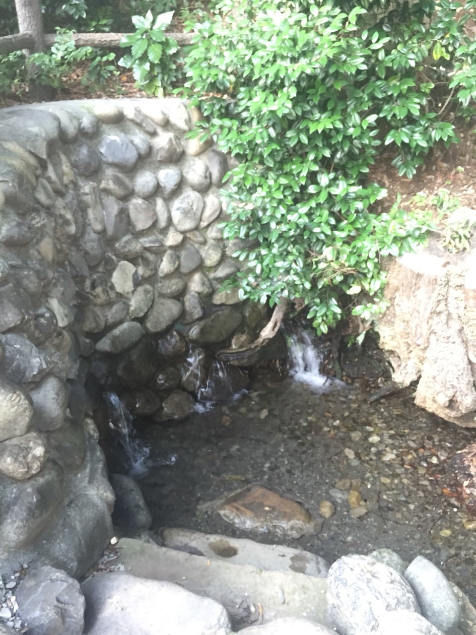 Natural water spring at Suwa Shrine Tokyo Akishima