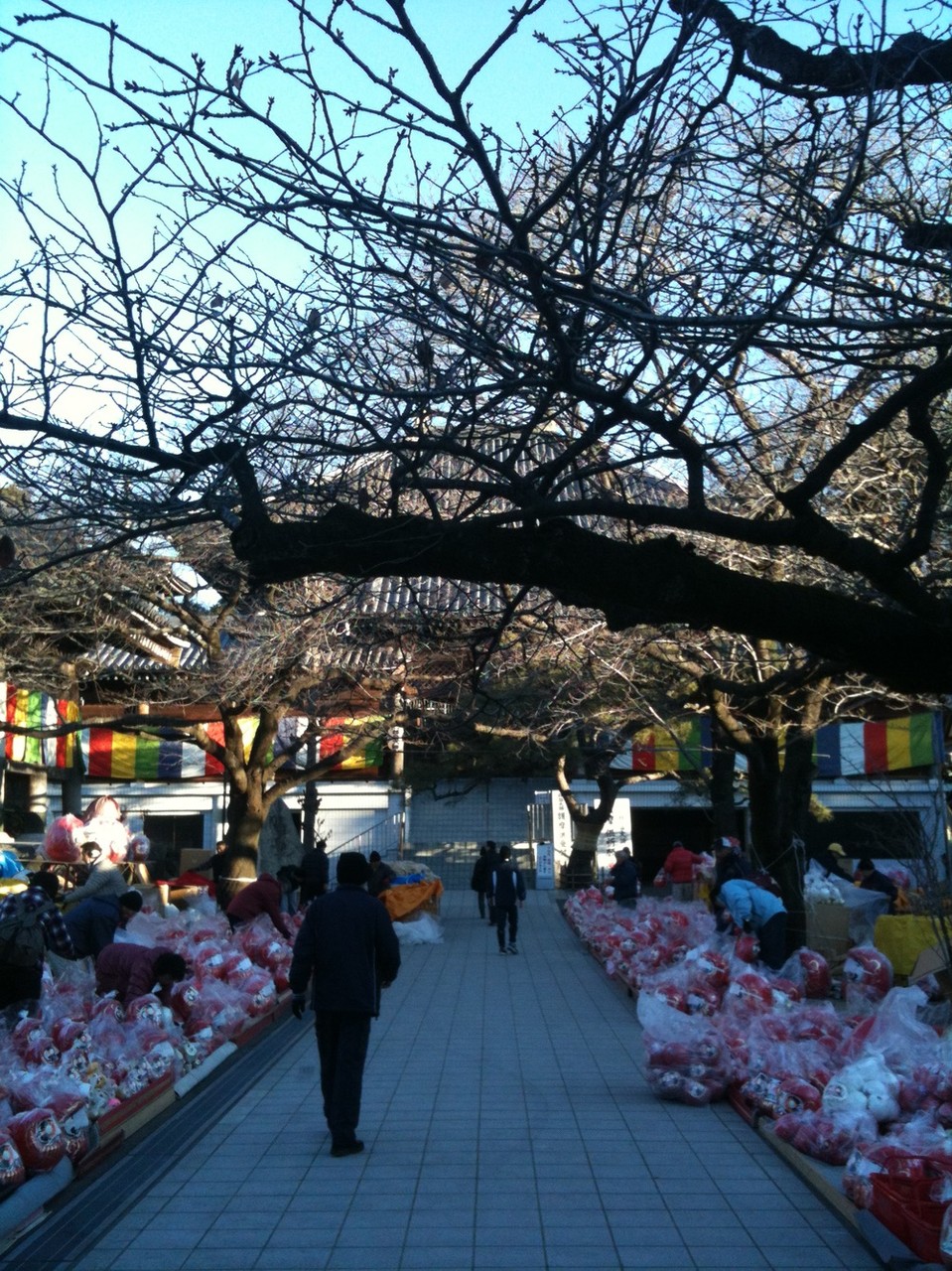 Daruma ichi fair at Haijima Daishi Temple in January Tokyo Akishima