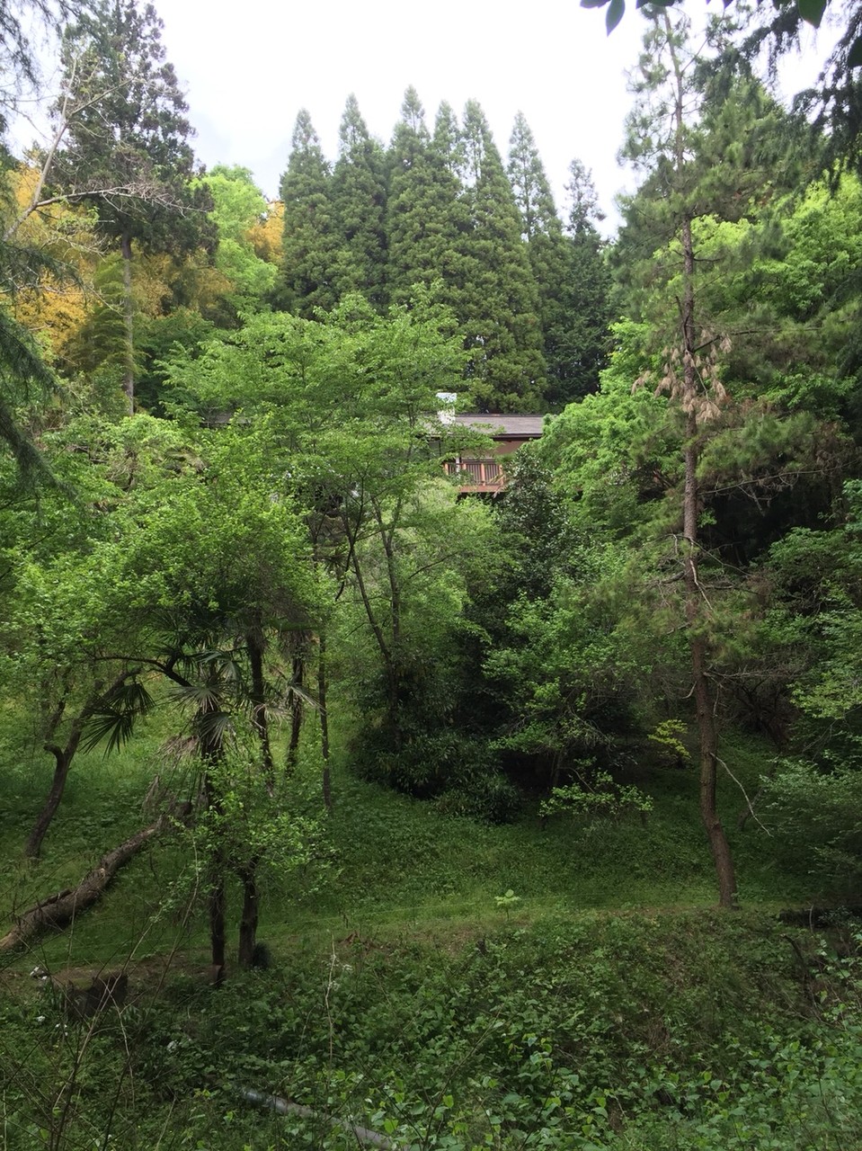 Garden at Hinodesanso Villa Tokyo Hinode