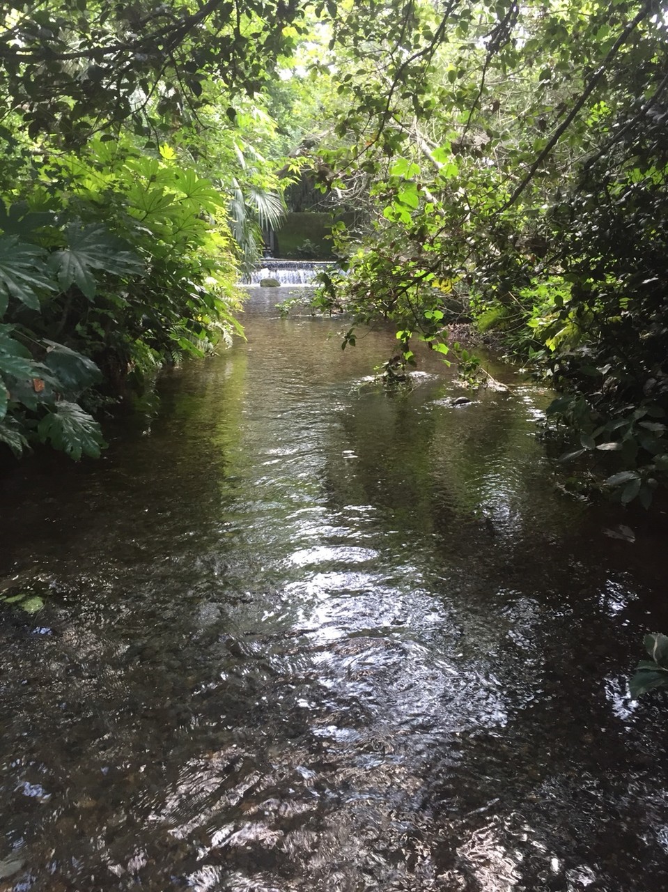 Minamisawa Natural water spring group Tokyo Higashikurume