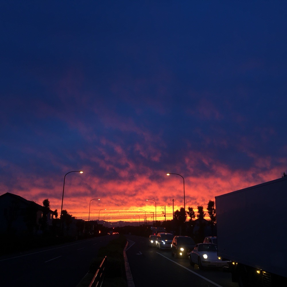 Sunset near Showakinen Park Tokyo Tachikawa