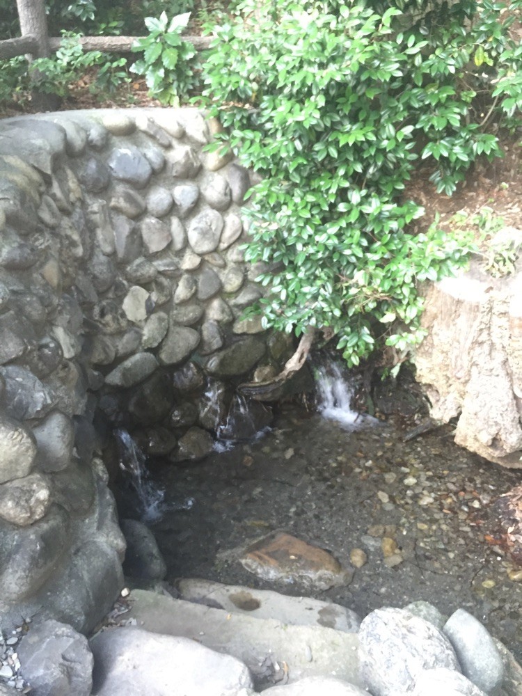 Natural Water spring at Suwa Shrine Tokyo Akishima nature healing refresh walking tourist spot TAMA Tourism Promotion - Visit Tama　諏訪神社の湧水　東京都昭島市　自然　癒し　リフレッシュ　散策　観光スポット　多摩観光振興会