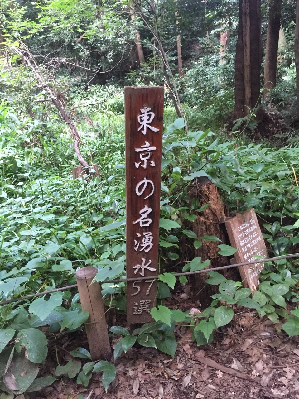 One of Tokyo's Best 57 Natural water springs Tokyo Higashikurume