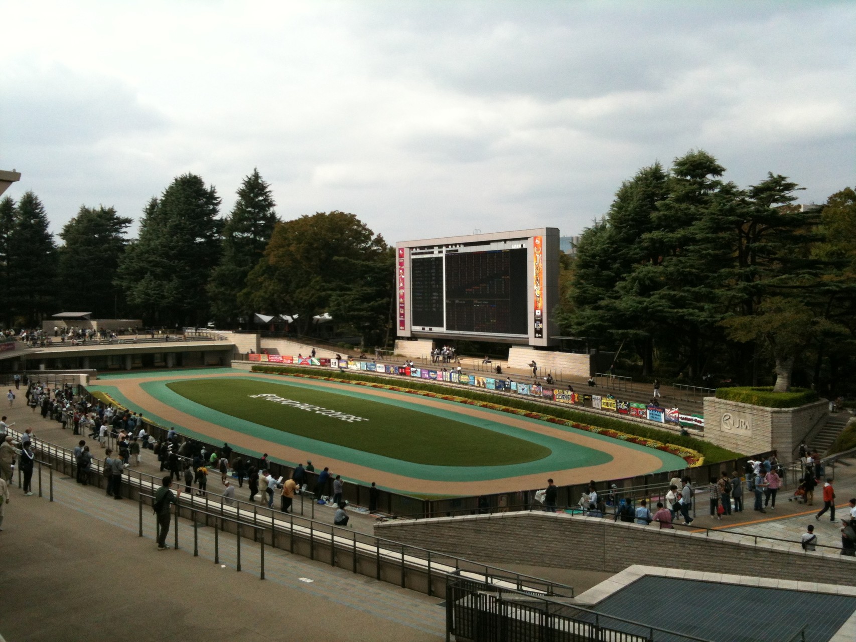 Tokyo Racecourse Paddock Tokyo Fuchu 