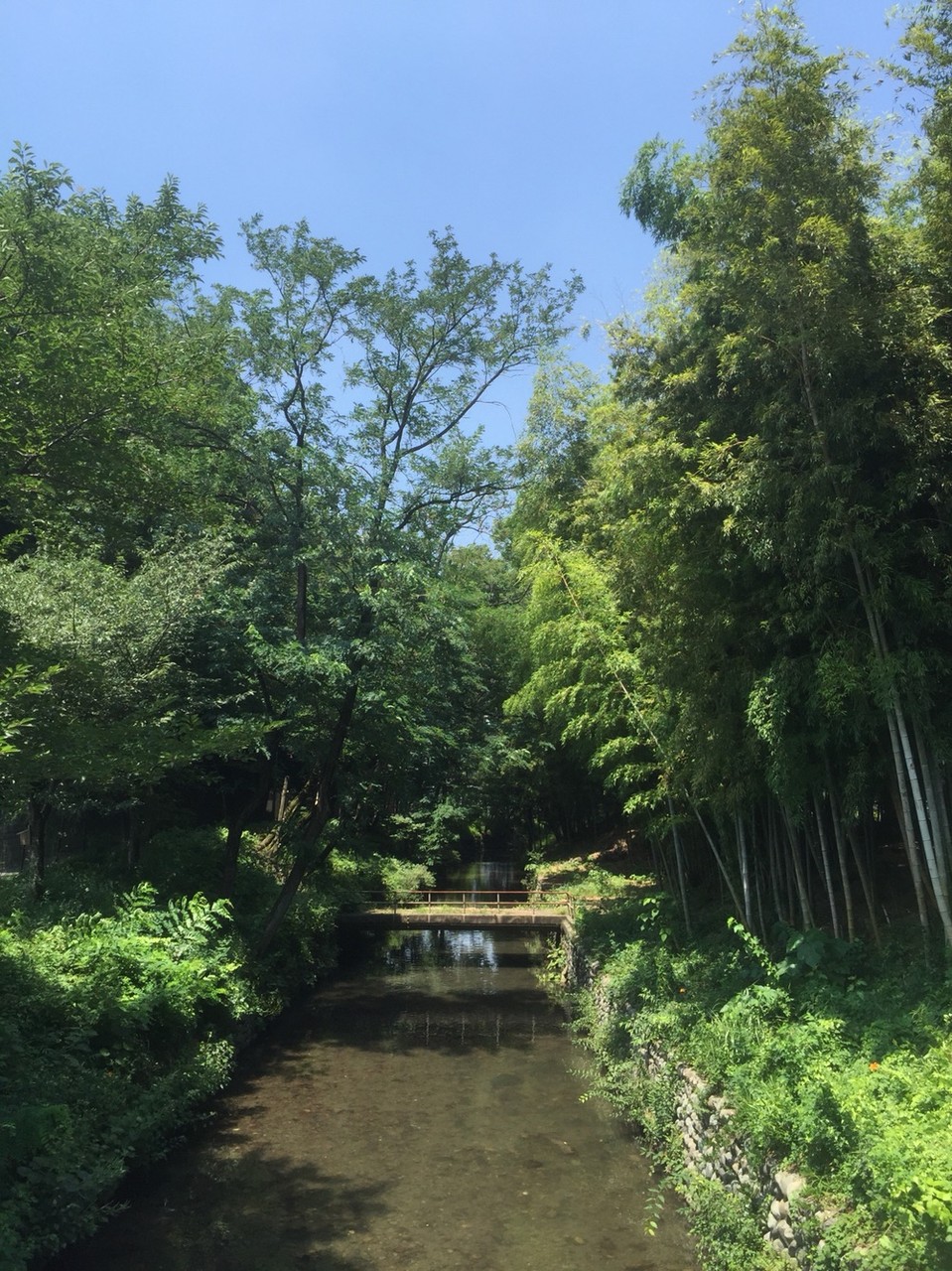 Tamagawajosui river at Konpira Bridge Tokyo Tachikawa