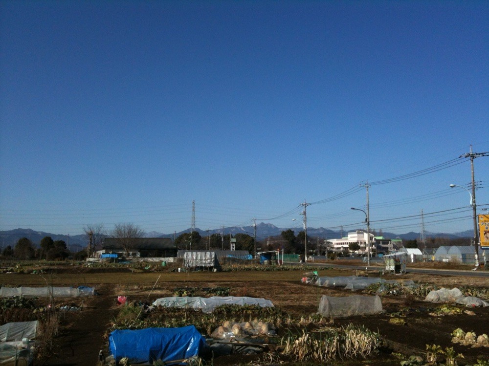 Mountain view from Akigawa Farmers Center Tokyo Akiruno