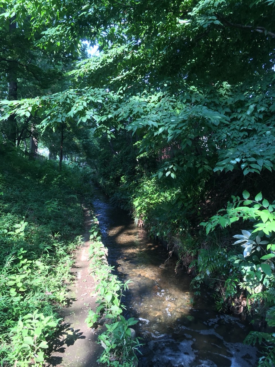 Nobidomeyosui Aqueduct / waterway Tokyo Higashimurayama