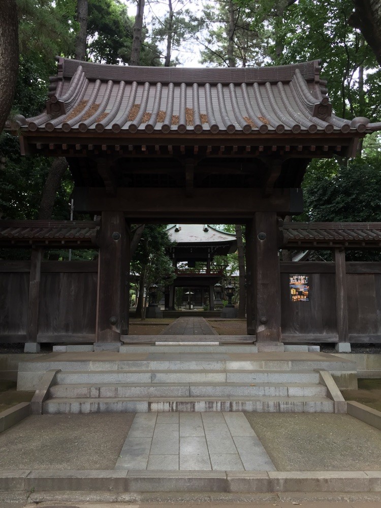 Senryuji Temple Tokyo Komae walking dragon power historical tourist spot TAMA Tourism Promotion - Visit Tama　泉龍寺　東京都狛江市　パワースポット　歴史　散策　観光スポット　多摩観光振興会