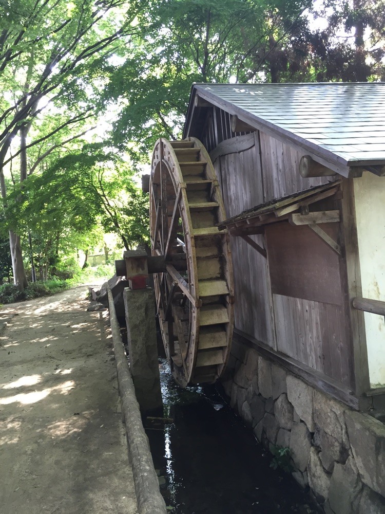 Onta Nobidome Water Mill Tokyo Higashimurayama Nobidomeyosui waterway canal aqueduct walking sightseeing tourist spot TAMA Tourism Promotion - Visit Tama　恩多野火止水車苑　東京都東村山市　野火止用水　散策　観光スポット　多摩観光振興会