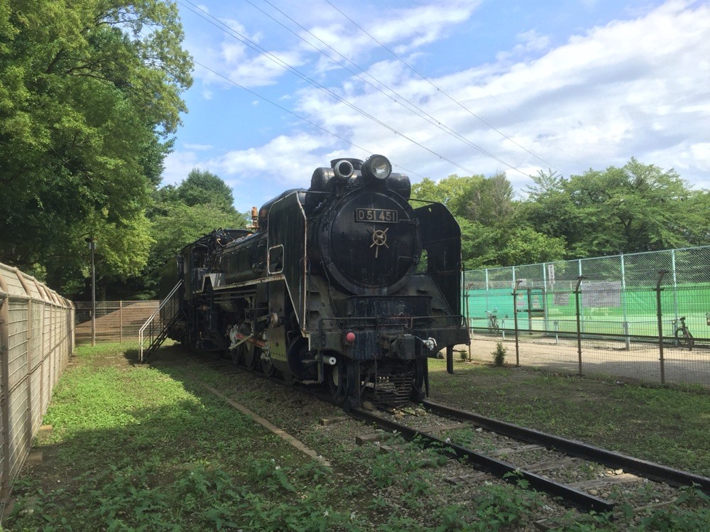 SL D51 train at Showa park Tokyo Akishima