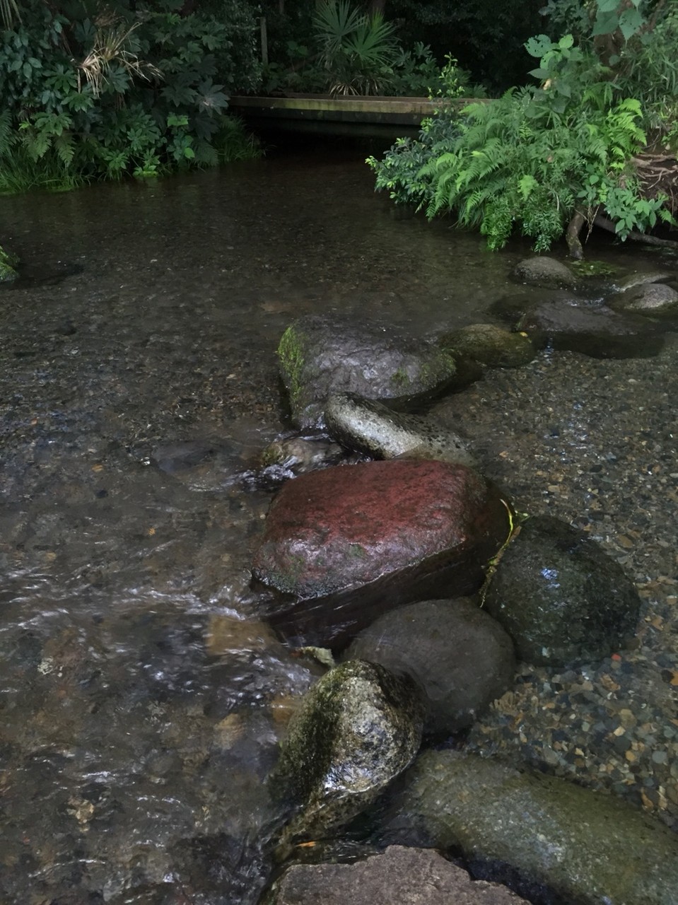 Minamisawa Natural water spring group Tokyo Higashikurume