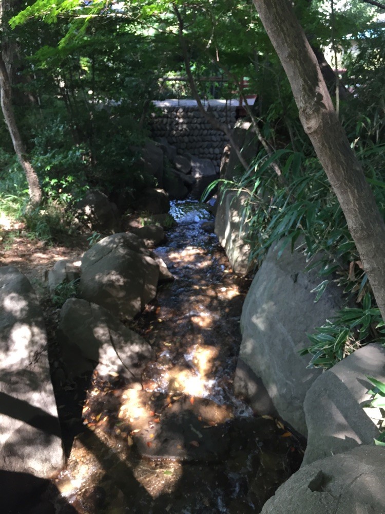 Onta Nobidome Water Mill to Nobidome waterway Tokyo Higashimurayama walking sigheseeing tourist spot TAMA Tourism Promotion - Visit Tama　恩多野火止水車苑　野火止用水への流れ　東京都東村山市　散策　観光スポット　多摩観光振興会