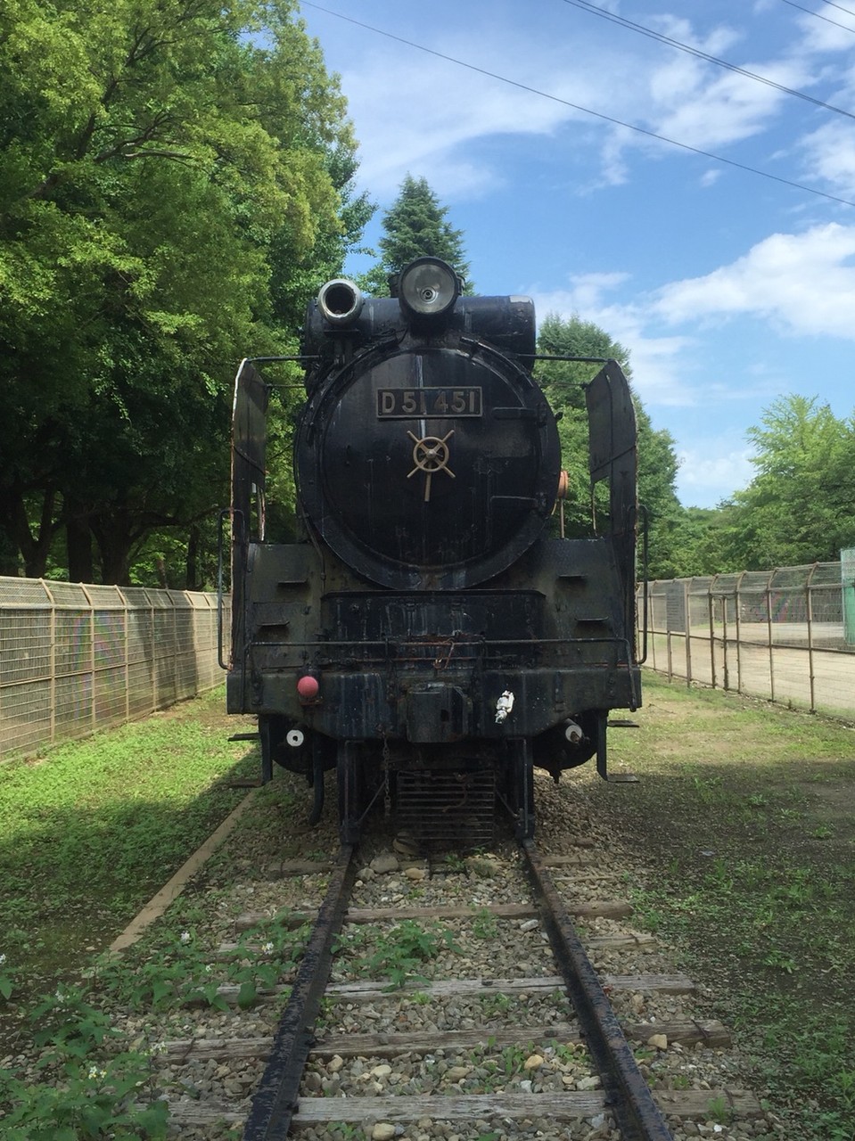 SL D51 train at Showa park Tokyo Akishima