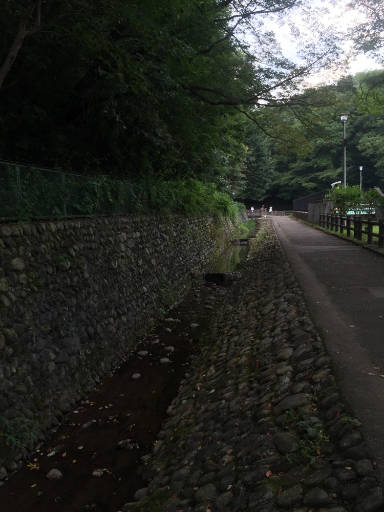 Upper stream of Karabori River Tokyo Musashimurayama noyamakita park picnic refresh tourist spot TAMA Tourism Promotion - Visit Tama　空堀川　上流域　東京都武蔵村山市　ピクニック　リフレッシュ　散策　観光スポット　多摩観光振興会