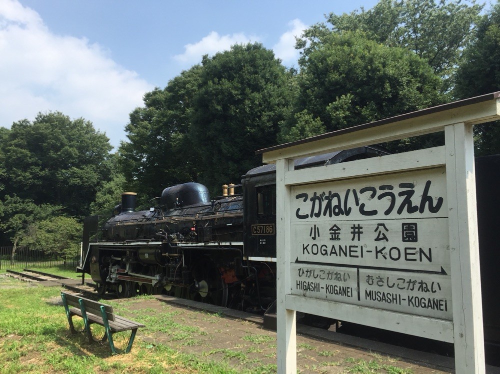 SL C57 at Koganei Park Tokyo Koganei