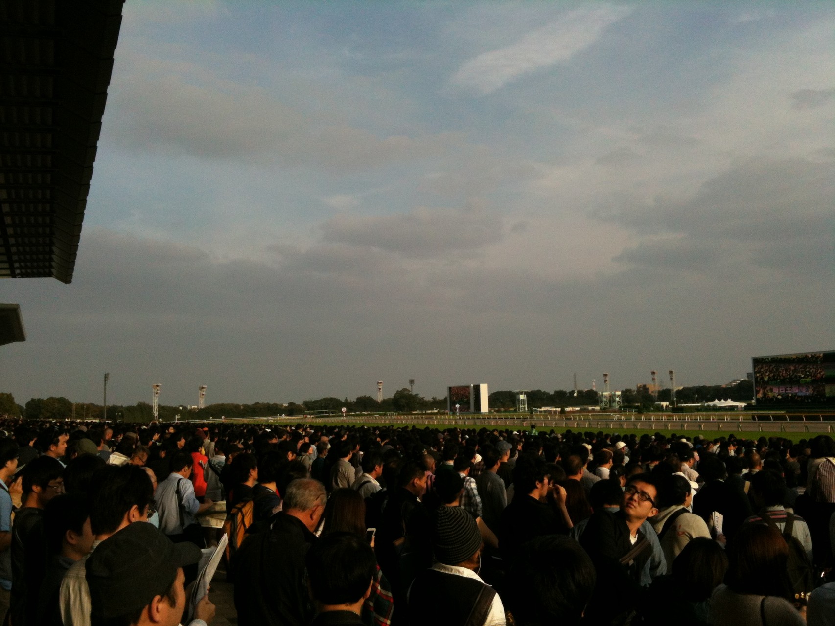 Tokyo Racecourse Tokyo Fuchu