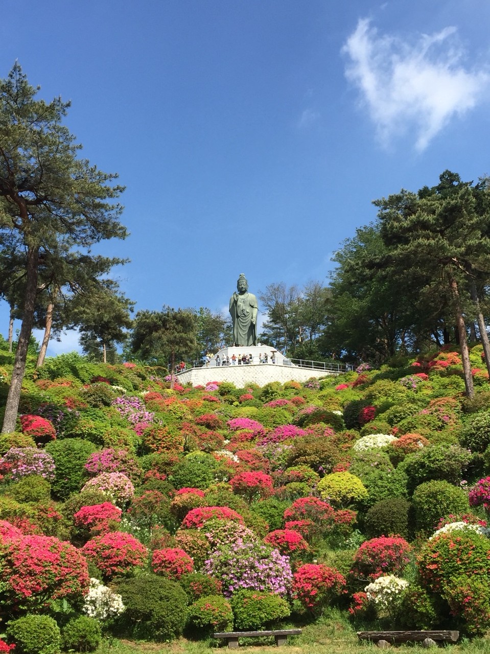 God with Azalea in May at Shiofune Kannon Temple Tokyo Ome