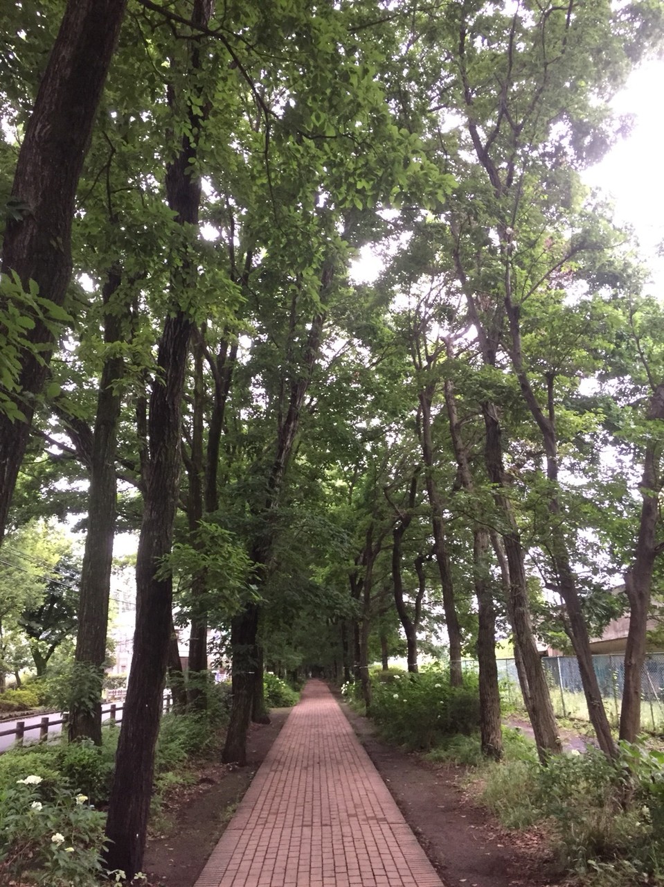 Red Brick promenade on Nobidomeyosui River Tokyo Kodaira