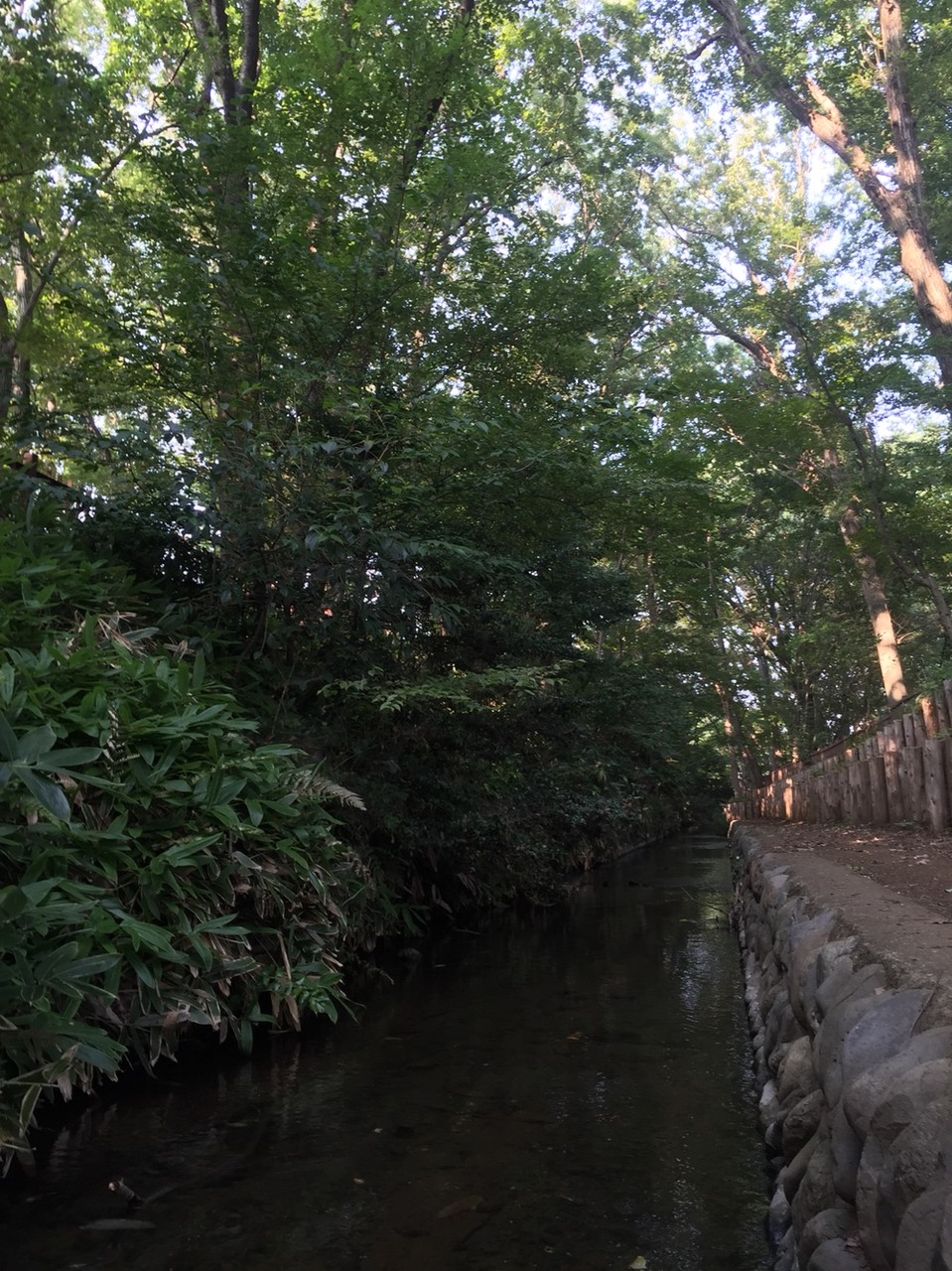 Nobidomeyosui aqueduct / waterway Tokyo Kodaira