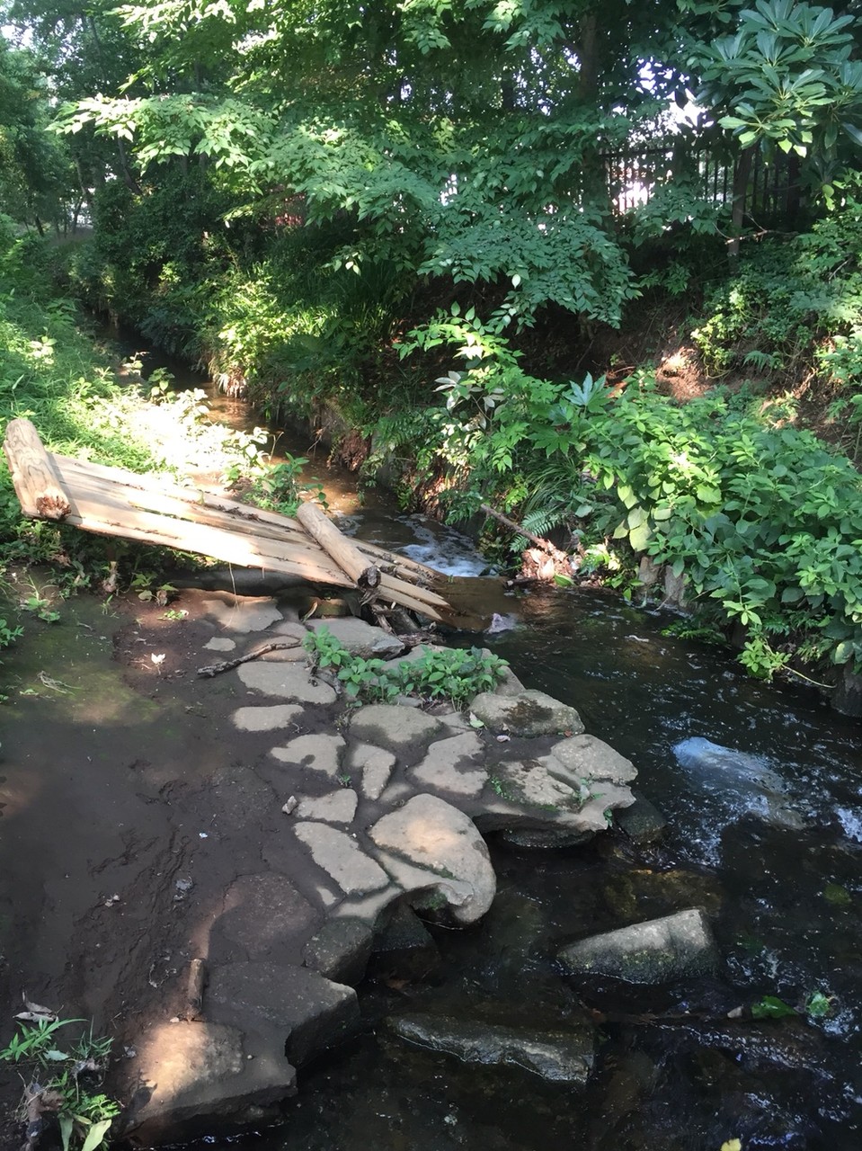 Nobidomeyosui Aqueduct / waterway Tokyo Higashimurayama