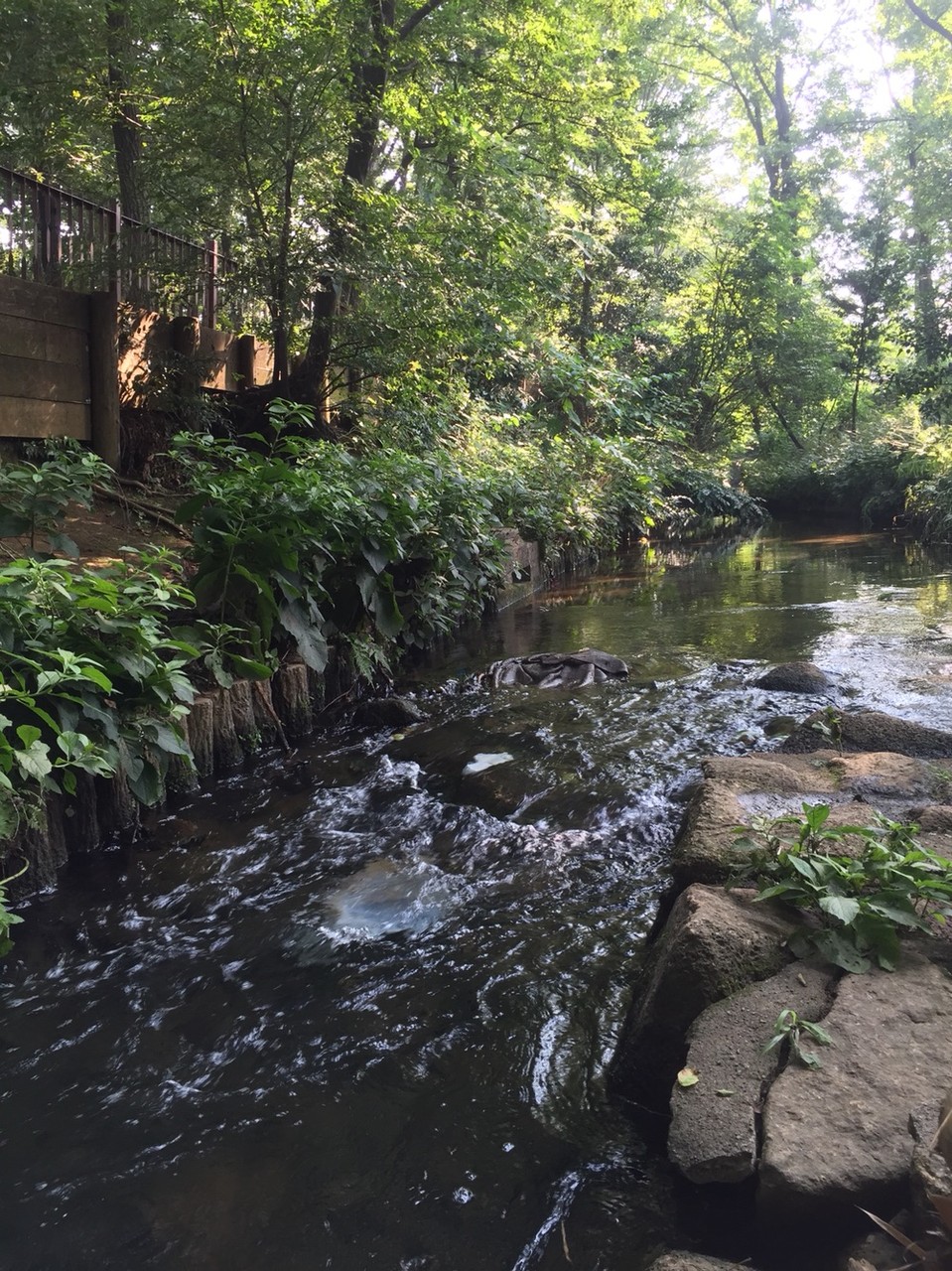 Nobidomeyosui Aqueduct / waterway Tokyo Higashimurayama