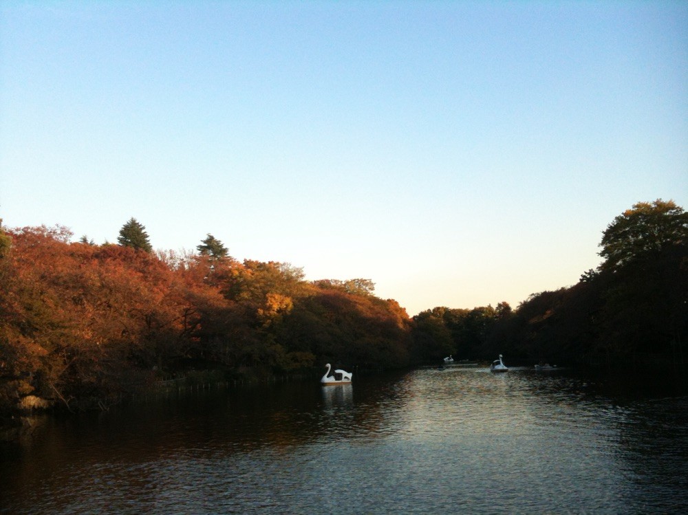 Inokashira park in October Tokyo Mitaka