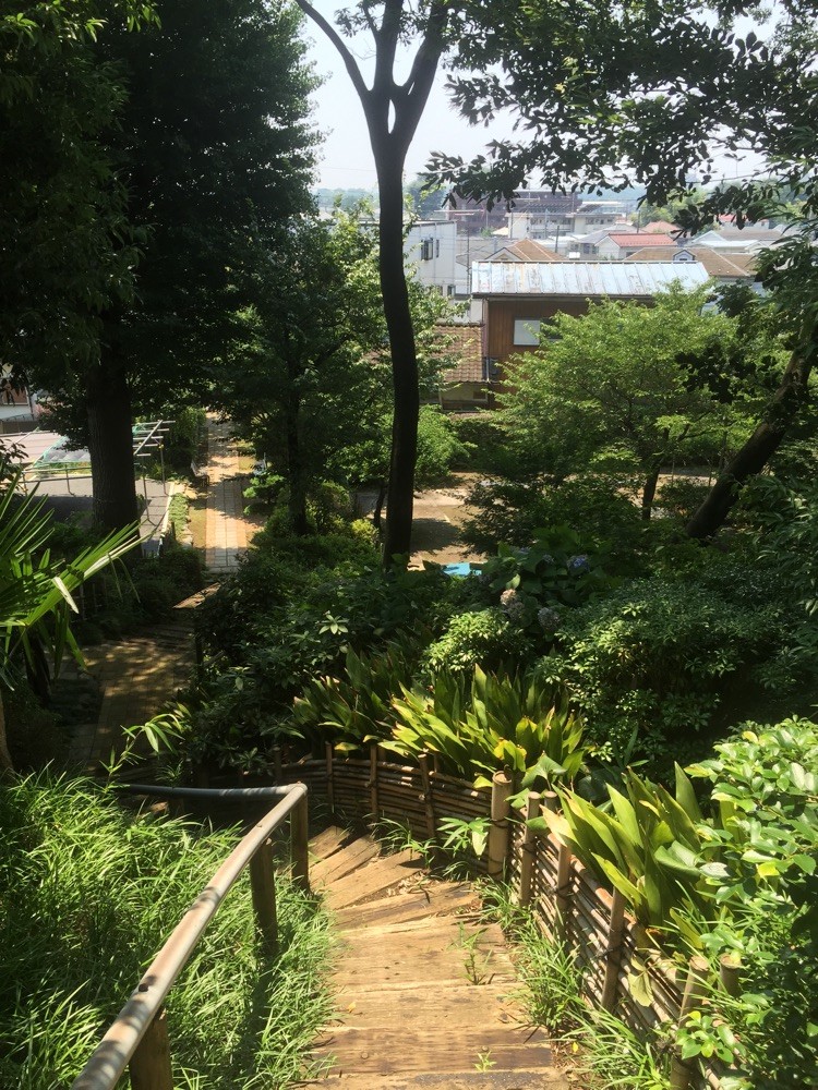 View from the top of Mt. Konpira Tokyo Tachikawa mountain shrine historical tourist spot TAMA Tourism Promotion - Visit Tama　金比羅山　山頂からの眺め　東京都立川市　山　神社　歴史　観光スポット　多摩観光振興会