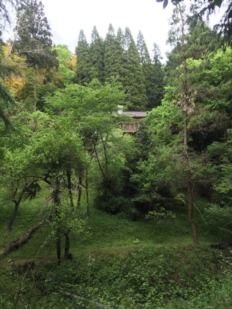 Hinodesanso Villa Tokyo Hinode historical tourist spot TAMA Tourism Promotion - Visit Tama　日の出山荘　東京都日の出町　歴史　観光スポット　多摩観光振興会