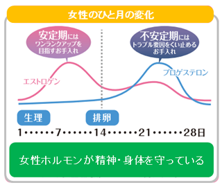 女性ホルモン,妊活,バランス,自律神経,エステ,美肌,不妊,生理不順,PMS