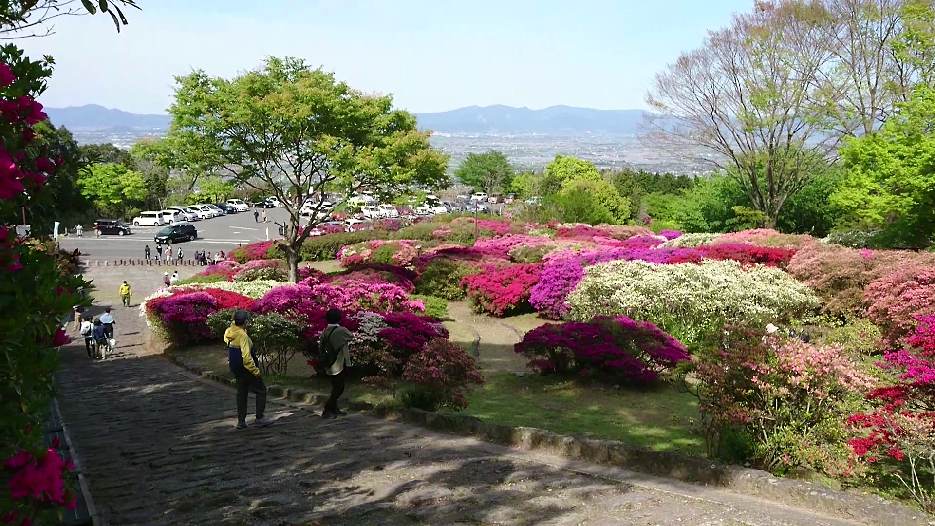 记 ”花”的名字ー単語を増やしましょう。