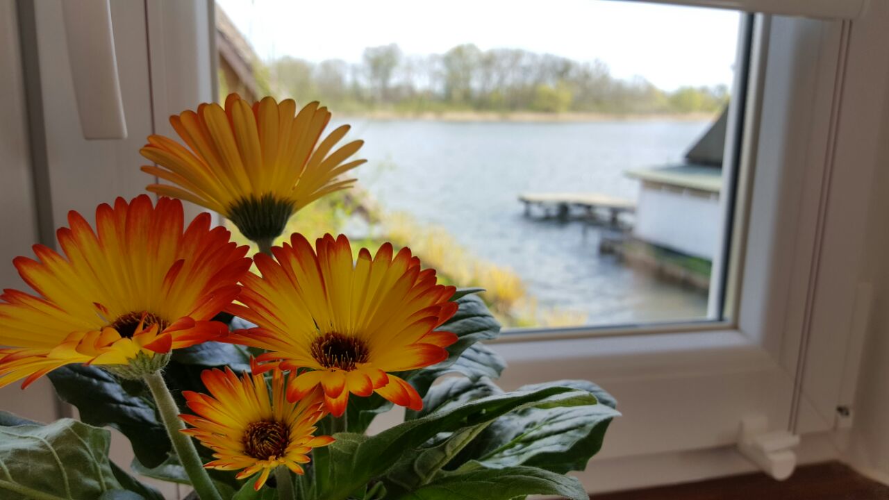 Urlaub im Ferienhaus mit Seeblick mieten.