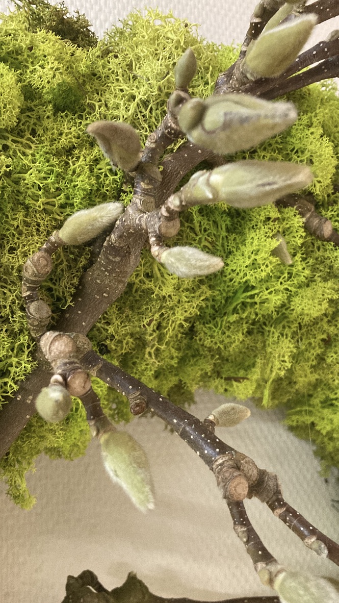 Lentegroen
