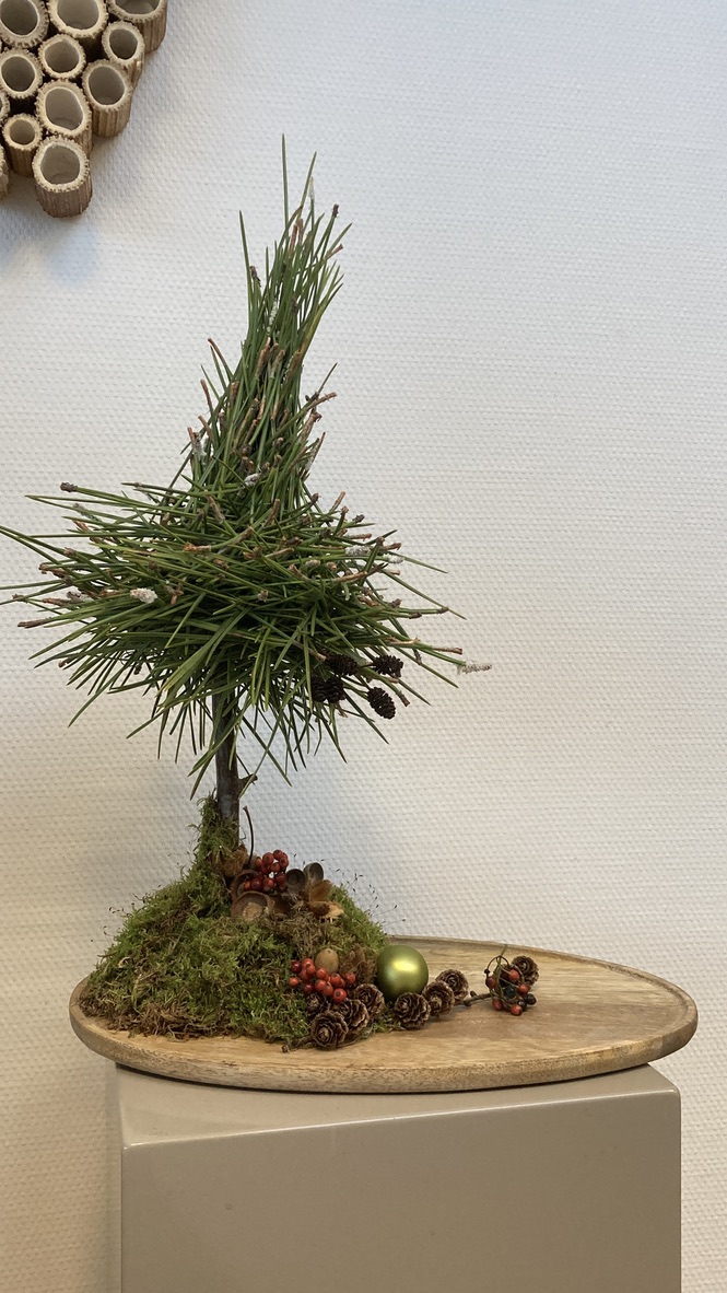 Little Christmas tree