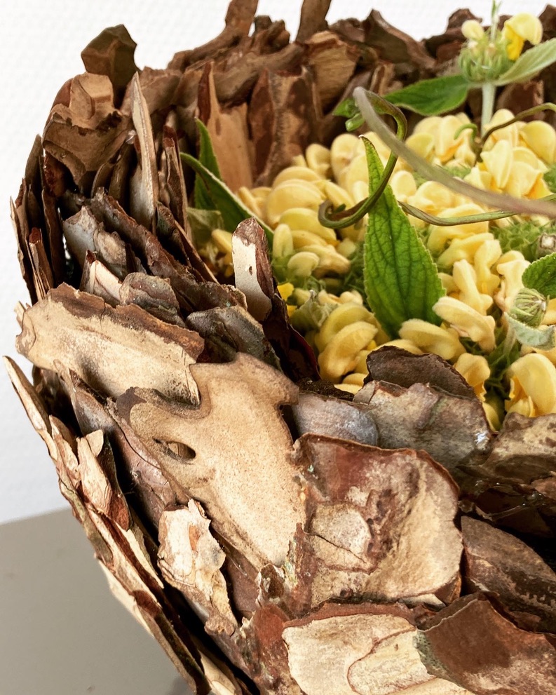 Pinus Bowl